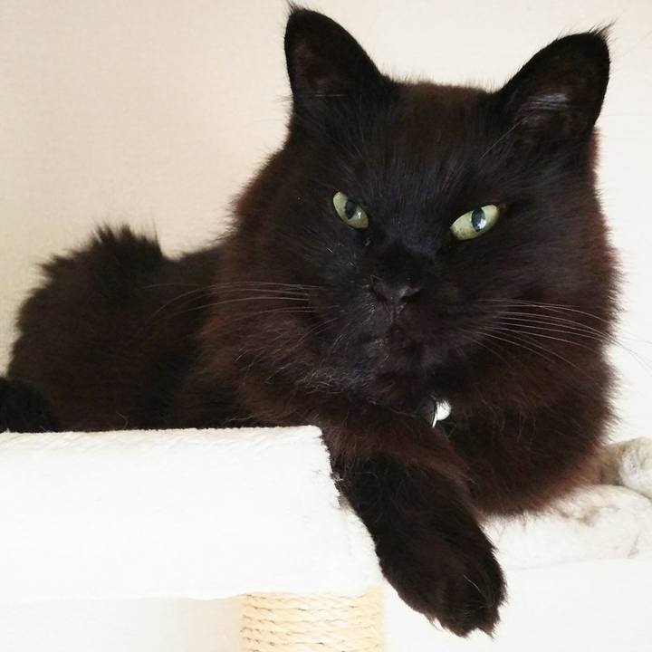 Adcc1b24 91a0 4692 87ec f0170ad9f5a6 1522892624092