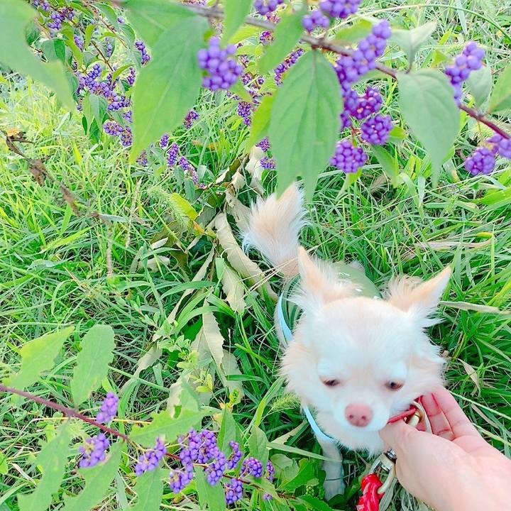 Adcc40fd bdfa 4be4 882a 0ed2f283ba2a 1632312498338