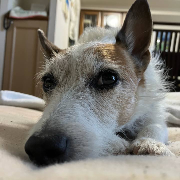 Adcc67ee 4b12 4211 ab70 26e8e2fa117b 1684452116022