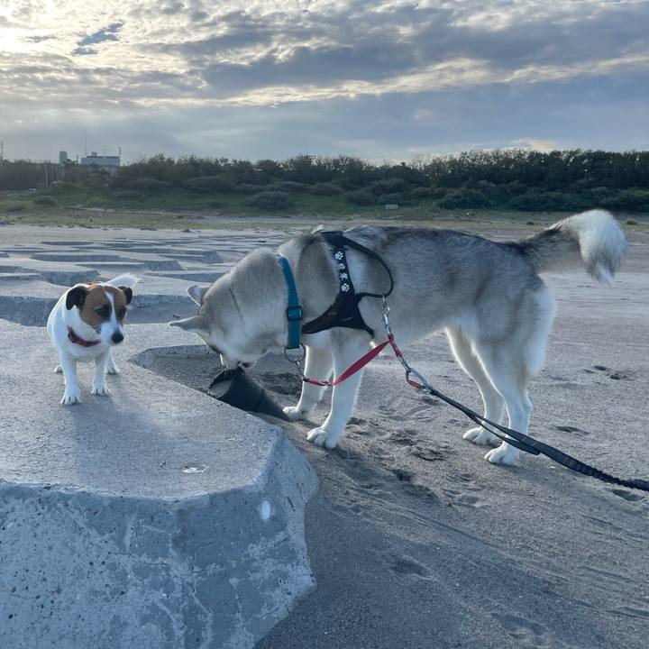 Adcc6d91 8e8e 46a9 b769 ffeb688ca2bb 1759794305300