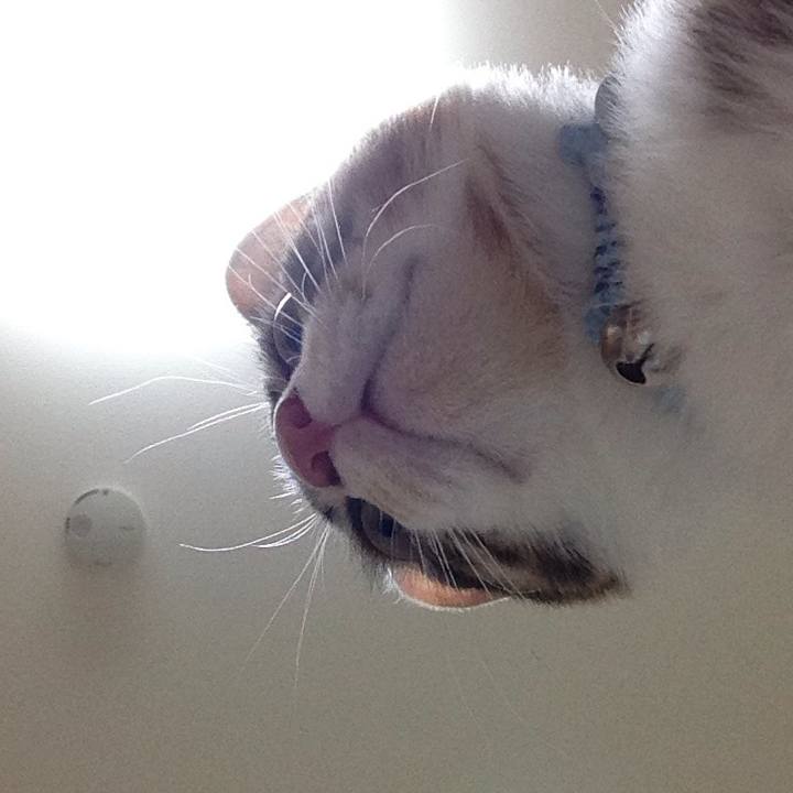 Adcd24c0 7606 4086 8455 e5ffda38385e 1628193246705