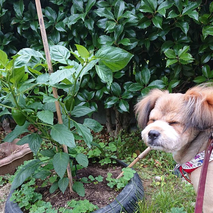 Adcd37e5 1fe7 4ba6 8b78 83b85f8ab5a2 1561154945972