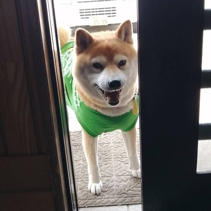 Adcd60dc 2d9c 47b3 8ba8 1b1e3e032b45 1597108249398