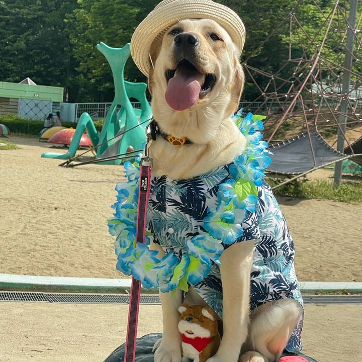 Adcd699b d104 4929 a3b7 41499f838be0 1653726281112