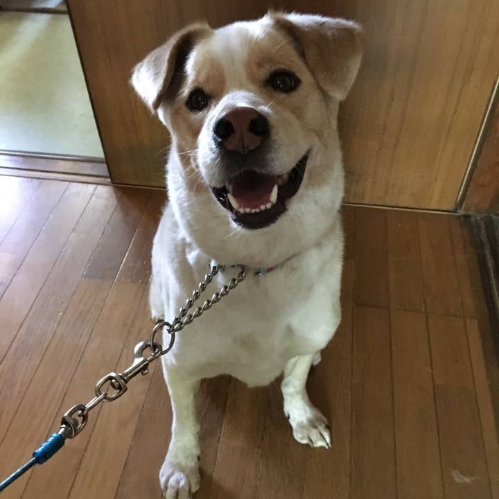 Adcd9dd0 e312 4644 94f1 5f5a27afacb9 1526253244702