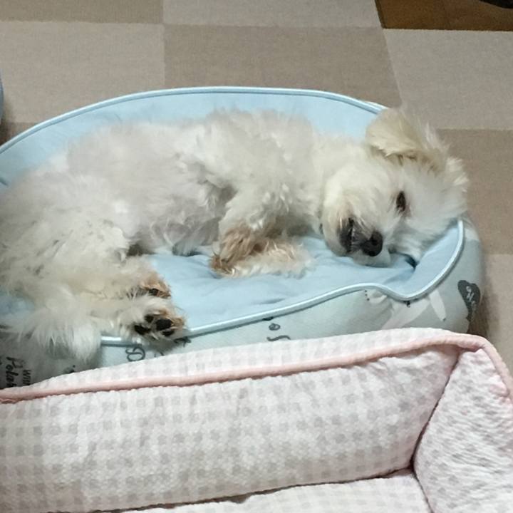 Adcda81e c6ba 4c42 b2b2 56485926ce1a 1568547069040