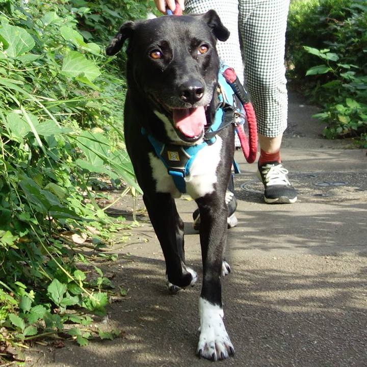 Adcdb12c 4325 4835 b9e1 f2306b011542 1631493506528