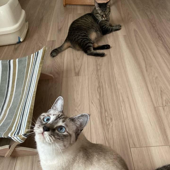 Adcdb4eb fbf6 4705 96e2 342d1df90b8f 1595634699177