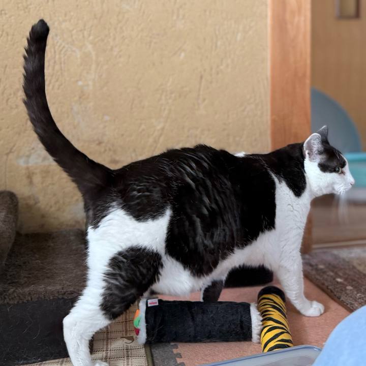 Adcdb870 376b 4e17 95ff 9fe3c28a0a6e 1759716375572