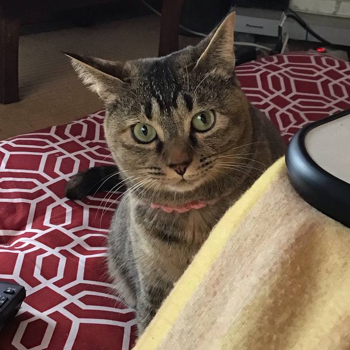 Adcdd370 d1df 4cb8 b2c2 61c4081c5b85 1614990014082