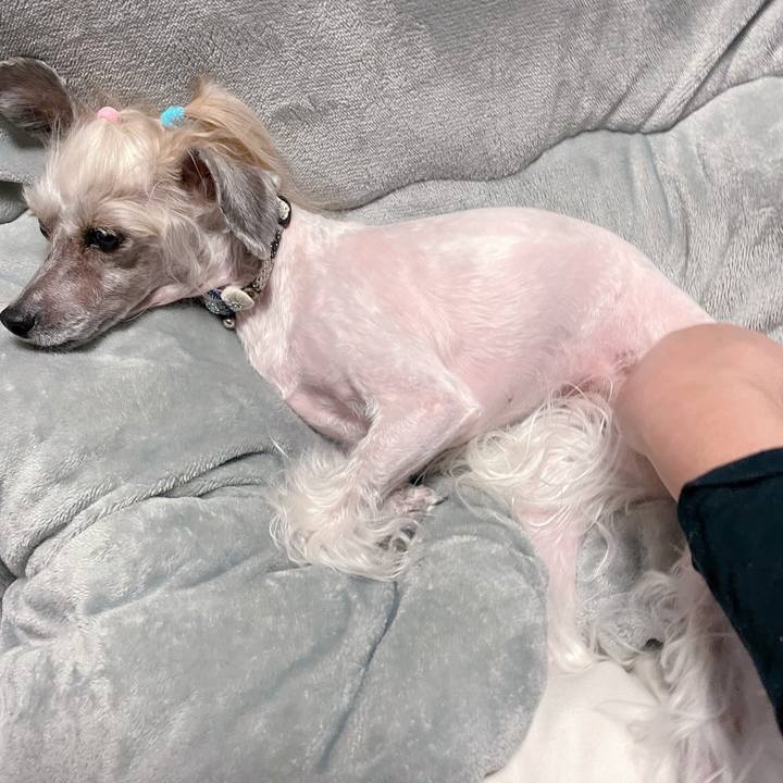 Adcdd81c 5e29 4f17 a368 a8b57a049858 1768383585917