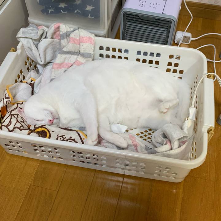 Adce1273 66d5 4e32 9238 ab9483b78169 1601124589136