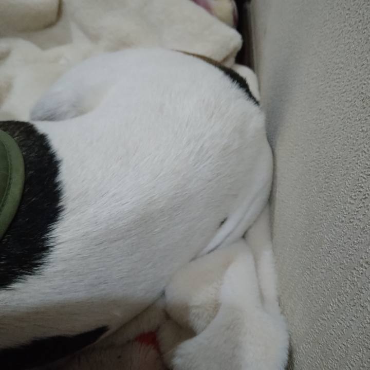 Adce4d40 bf44 4554 891b 0a64879058c1 1667977869553