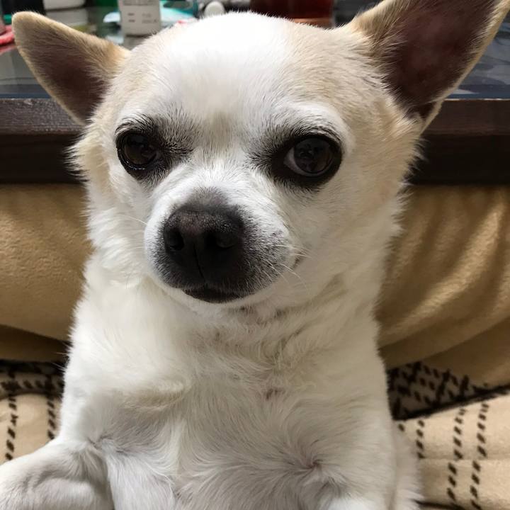 Adce6290 2a42 4b7f 9920 1efba4a5aedc 1524573928413