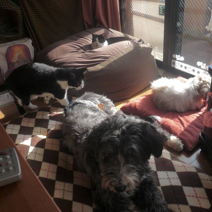 Adce6390 25cb 4347 9bd1 056e7143cdf1 1511612279967