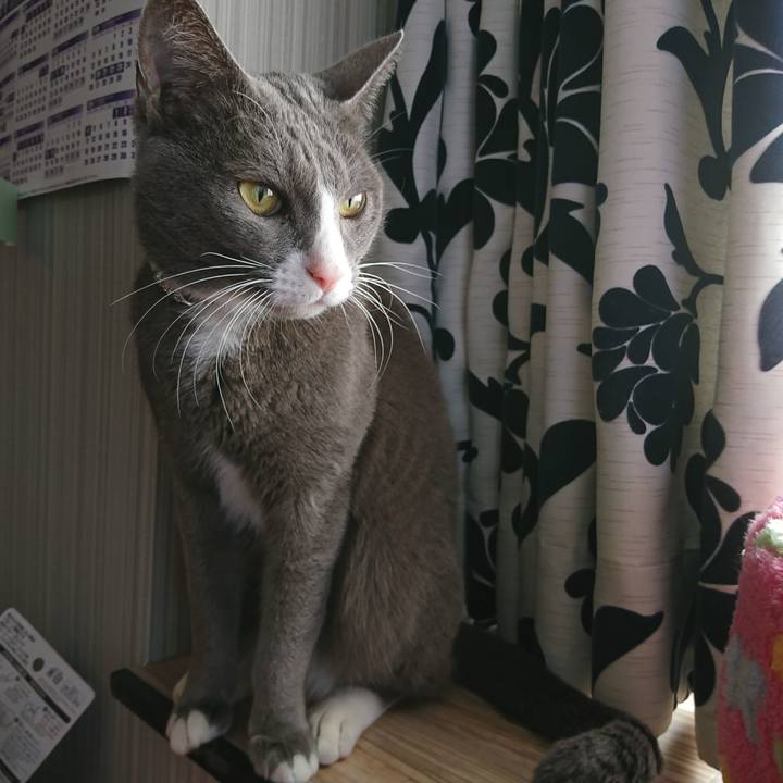 Adce74a0 ebb6 4f07 882b e94998e3374c 1515031973912