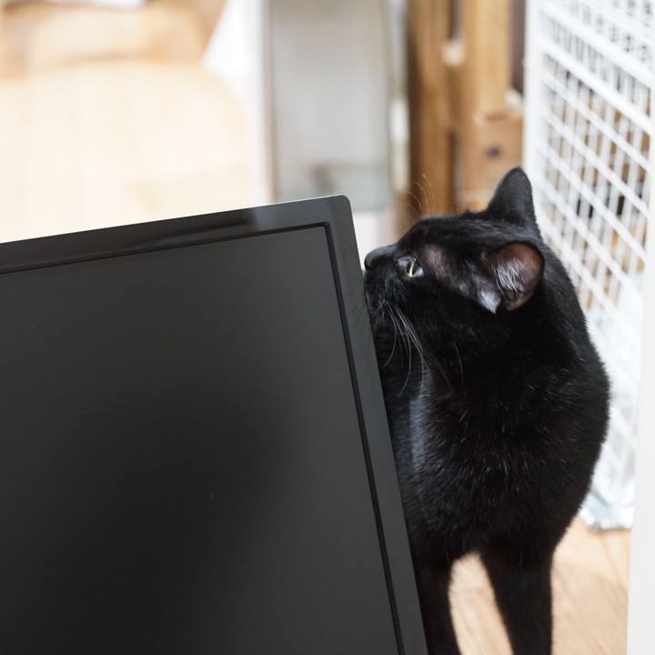 Adcecd29 d18e 494f b3b7 3f40ebc51924 1526214233871