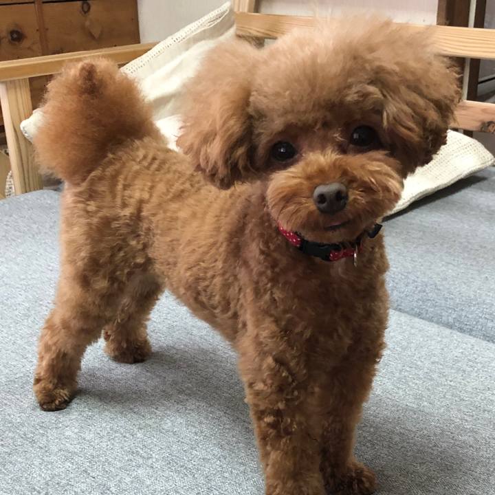 Adcf486e 2810 459d b654 b2441613b32b 1597792344111