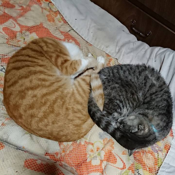 Adcf4db3 9a32 44d3 883a 8708c95722e3 1572870597395