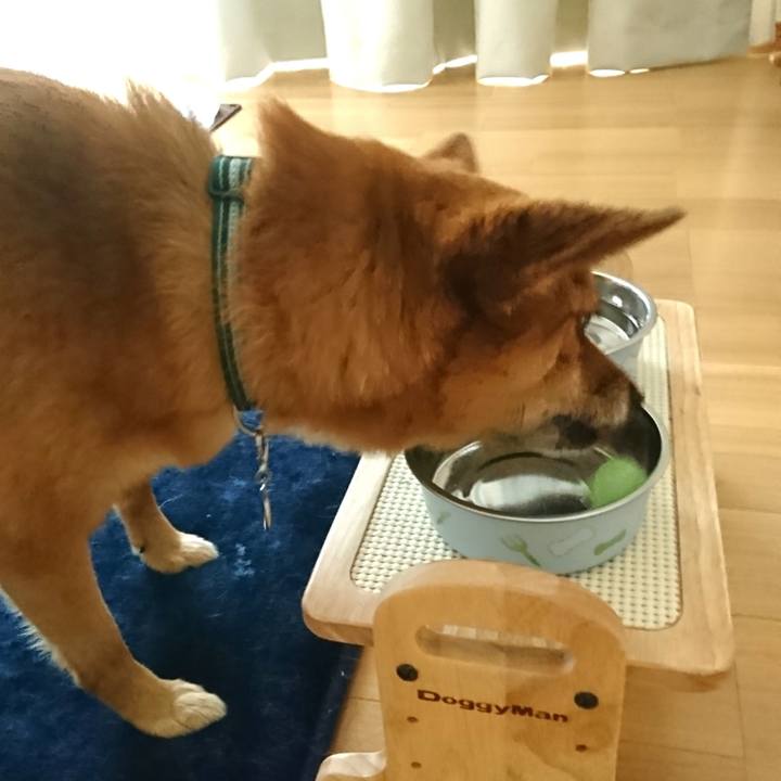 Adcf50fd e821 41d5 aaf2 015493a86648 1532217811159