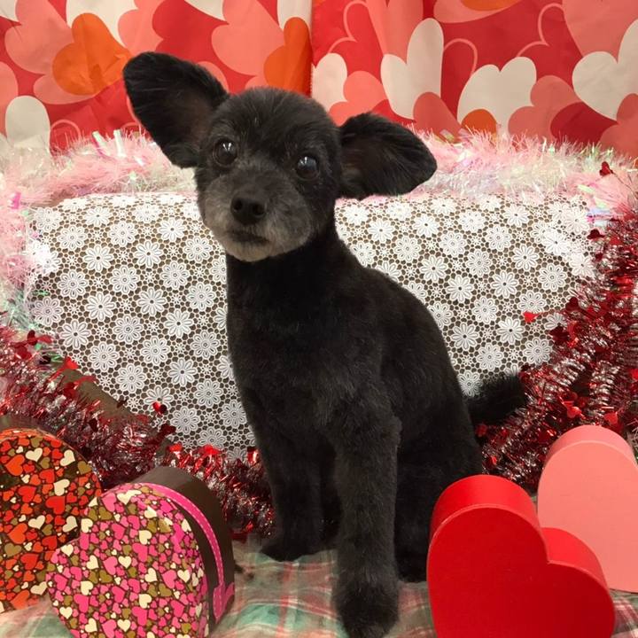 Adcf5511 a2f8 45dc 85d6 8dd9a28a18df 1613206706263