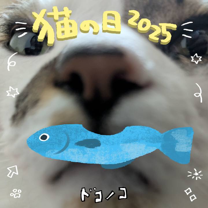 Adcf81df ecc1 4173 bf4b dc25650d06b9 1740177737086