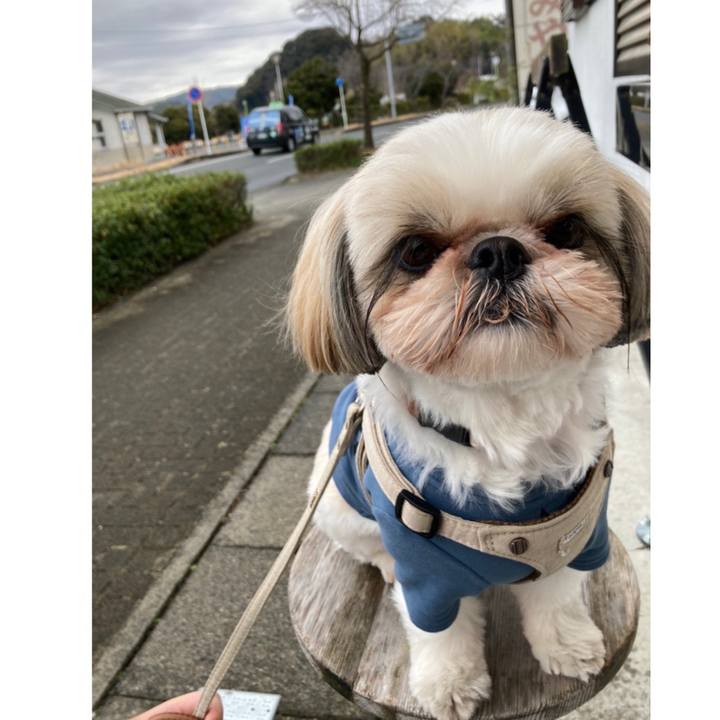 Adcf9011 b9f9 4c17 98c8 e7c94974520b 1644928518039