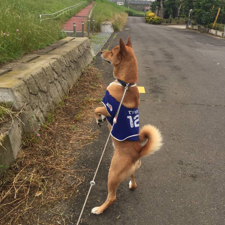 Adcfd1e0 6922 4fe3 b6cf f4c4c38befe7 1529360759483