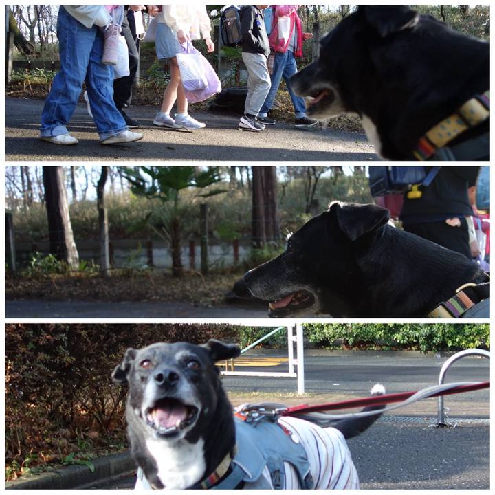 Add030b2 866a 4f6e 8cee 48a7c4fabef0 1742170663827