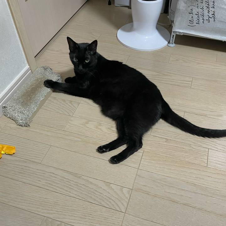 Add088eb 3cd1 4954 ae91 f9aa3a0fdaf9 1750595097296