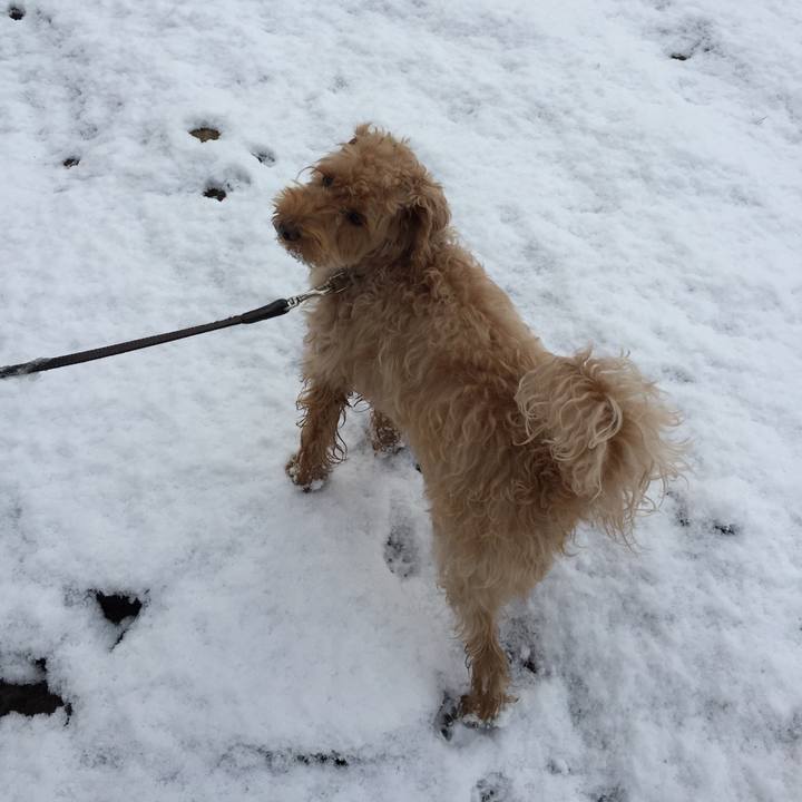 Add0909d 1950 4c2a aa39 7b30a0f704be 1523143056290