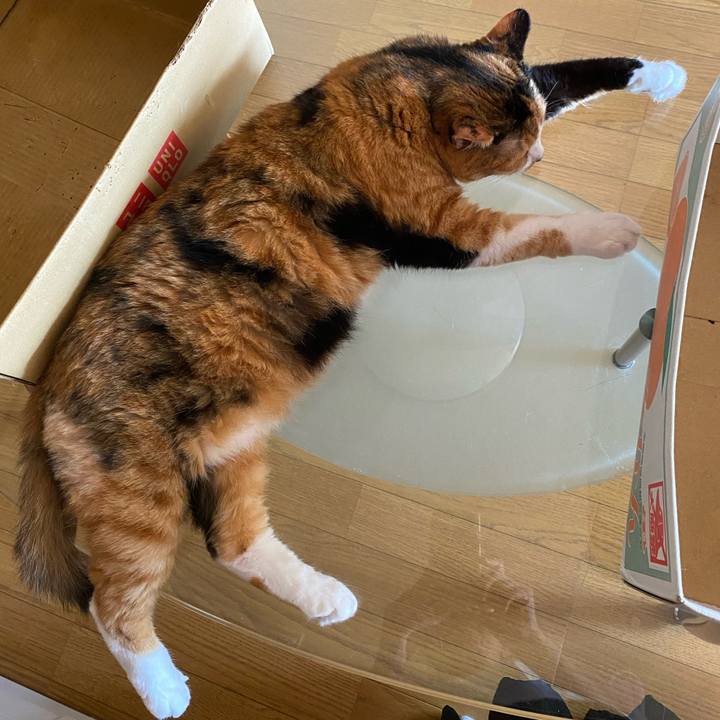 Add0a1f8 f227 40c7 91d8 9b3958a30065 1627388850139