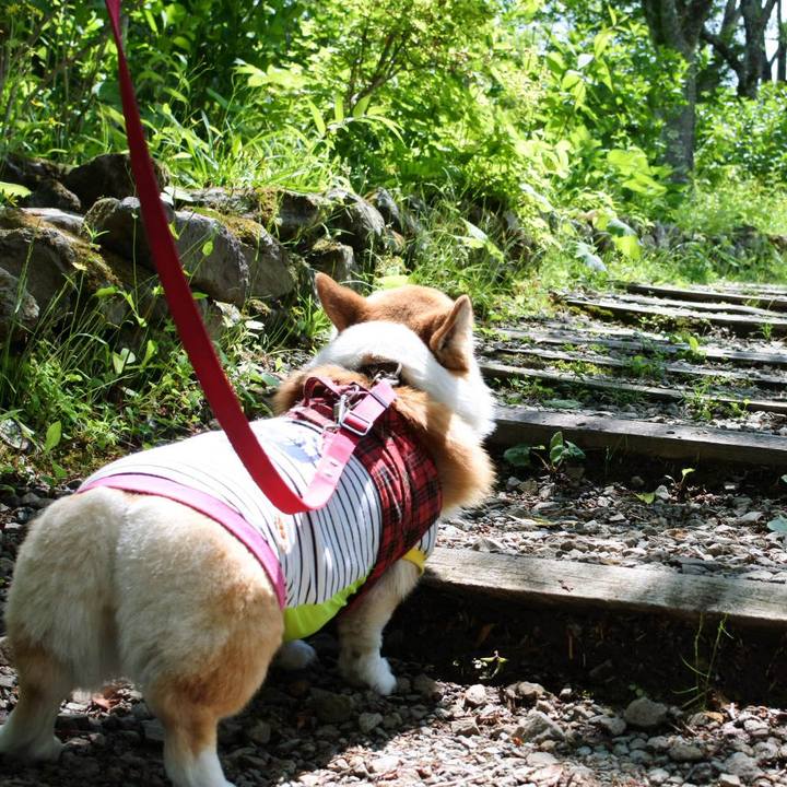 Add0b7fc 2b92 4185 b9d6 4ab52ae1b463 1559390231554