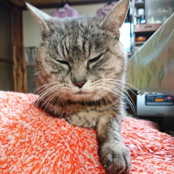 Add0b949 c7aa 4fd5 aab3 cc0fc0cf566f 1580161864652