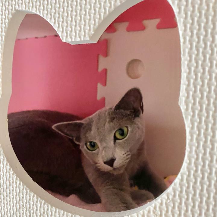 Add0bb03 c77a 4c59 ac2f f1dee19f70b1 1625723968229