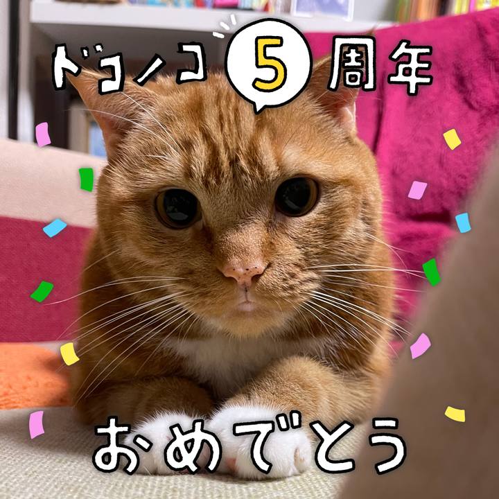 Add0c854 0369 460b ae63 1afd607f284b 1622864638621