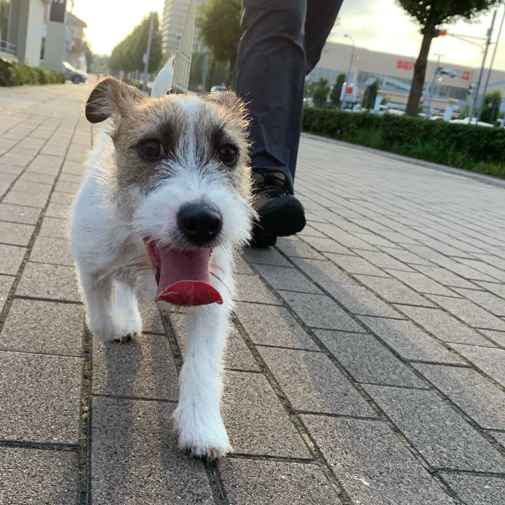 Add14e2b 10a9 472a 935b 3e9154a3995f 1565518827483