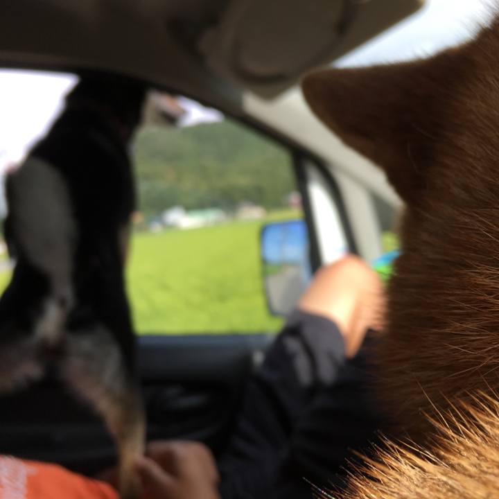 Add14f80 a1ad 4de9 8a6f 462dd601c887 1533569342777