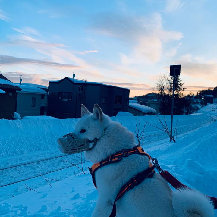 Add17f26 60c9 4b37 a126 c912a2d58055 1675031242881