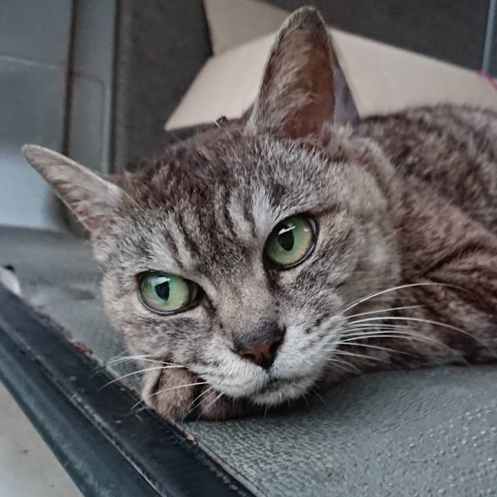 Add1943b 7c8d 469e b4df 2358289fb0b0 1564481288933