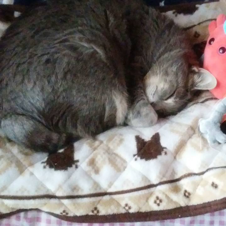 Add19aa6 e7c6 4bf4 bac1 0703d4337ada 1583799240036