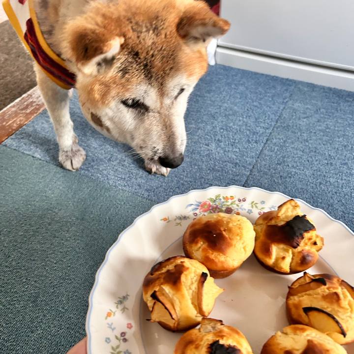 Add1b7d4 e5d6 441e a4ff b3668e49a04f 1763866143378