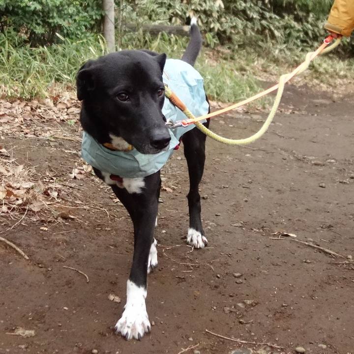 Add25645 df5b 4450 b848 d1f7c9194bcd 1584144160508