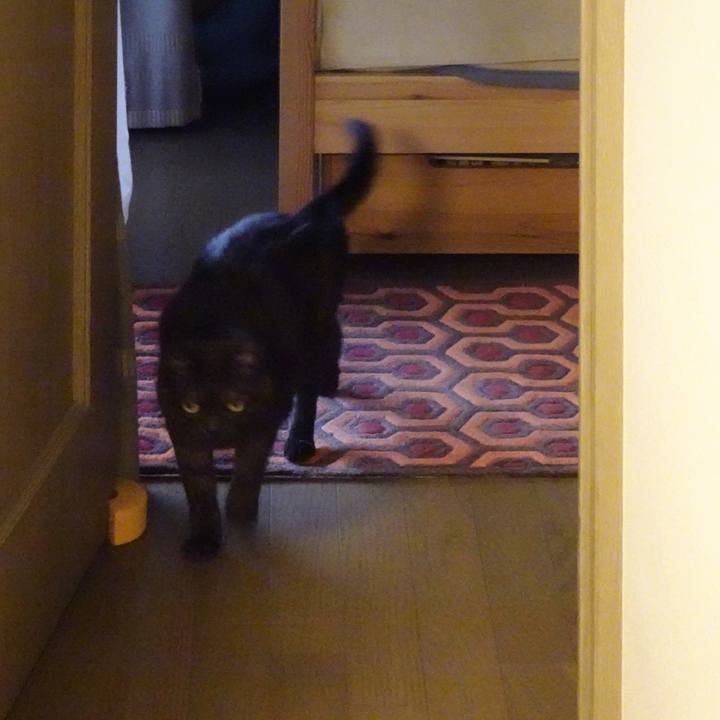 Add25913 9a2c 468a 98f1 4fa5e7b2a6f8 1588687627003