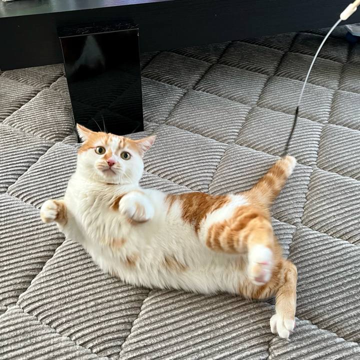 Add2f9d6 c27f 43c2 9628 c0151e57c0d9 1755581499783