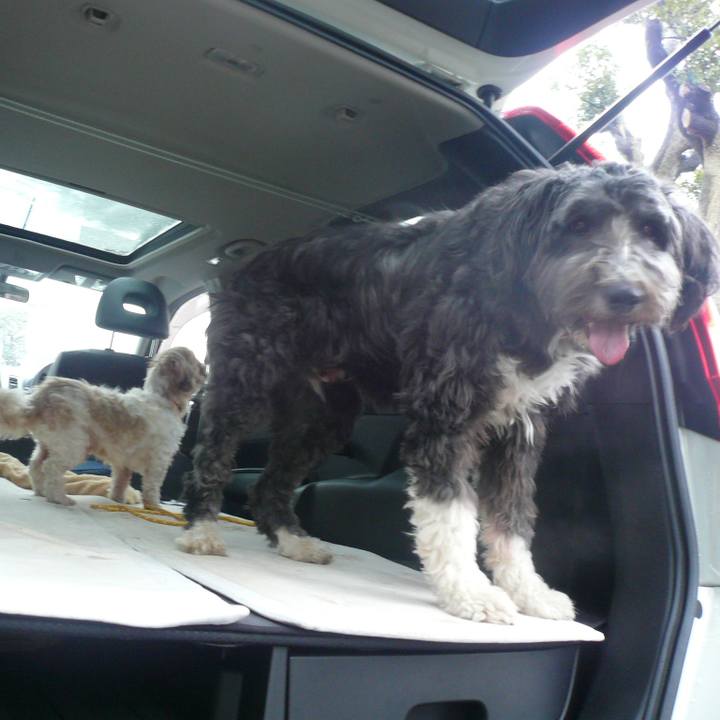 Add335a3 53f4 4ae9 8f3d a5b49d0824d0 1627002374079