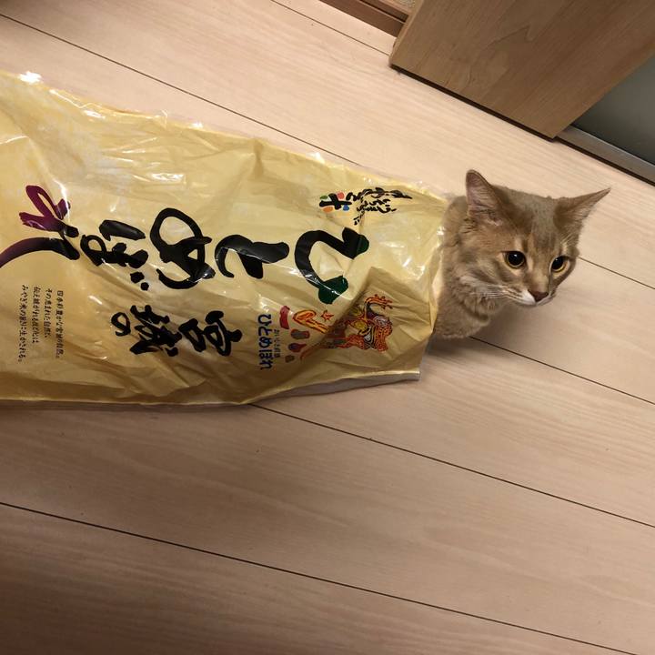 Add348e1 5a8c 4793 b2dd c28a909646f3 1555748996910