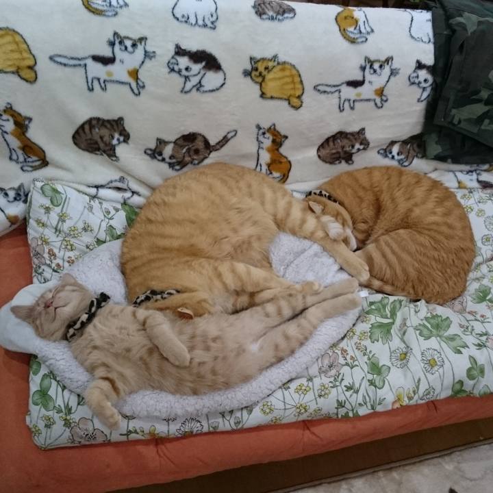 Add353a7 cb78 4b8c a2fc 43392b8d581e 1580293969622