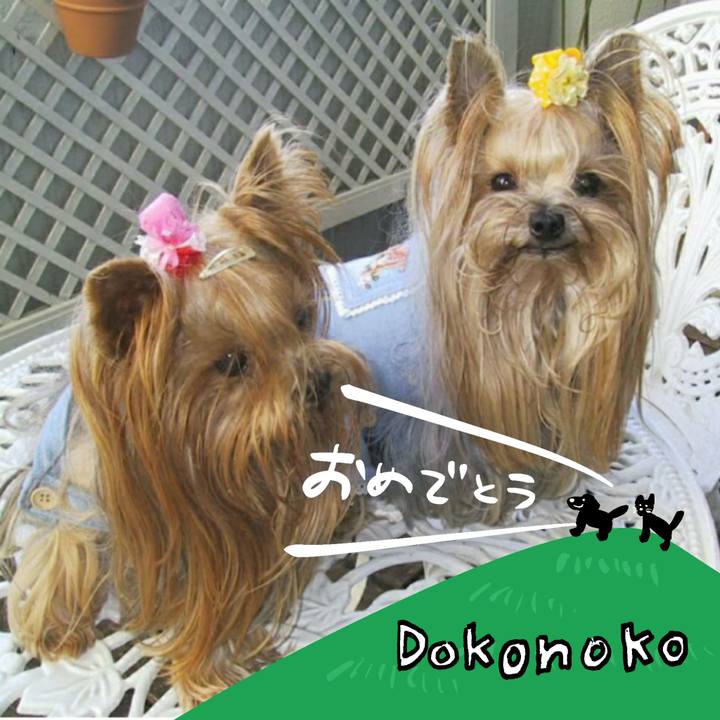 Add3b36a a71e 493c a57c 5df24451c1a4 1685965557105