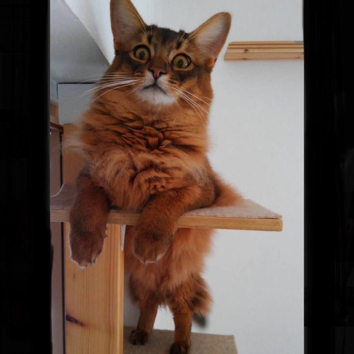 Add3dc96 4b42 4ad7 9bee b529cbd2a161 1606177454115